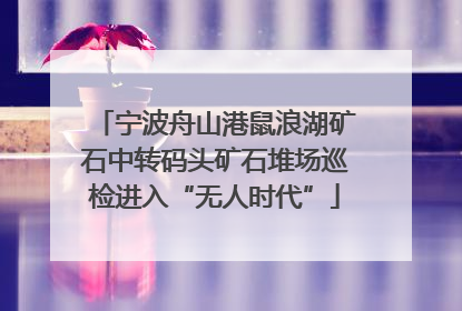 宁波舟山港鼠浪湖矿石中转码头矿石堆场巡检进入“无人时代”