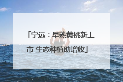 宁远：早熟黄桃新上市 生态种植助增收