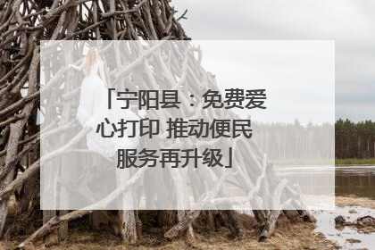 宁阳县：免费爱心打印 推动便民服务再升级