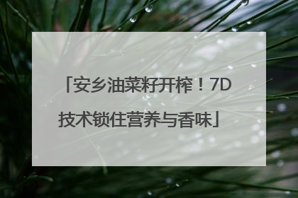 安乡油菜籽开榨！7D技术锁住营养与香味