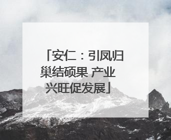 安仁：引凤归巢结硕果 产业兴旺促发展