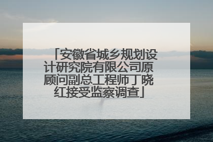 安徽省城乡规划设计研究院有限公司原顾问副总工程师丁晓红接受监察调查