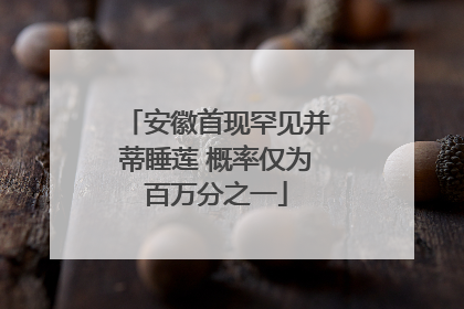 安徽首现罕见并蒂睡莲 概率仅为百万分之一