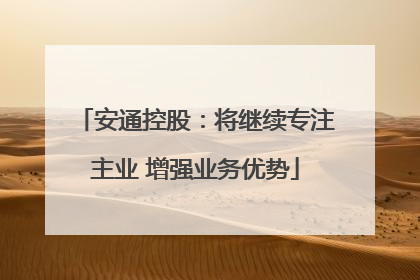 安通控股：将继续专注主业 增强业务优势