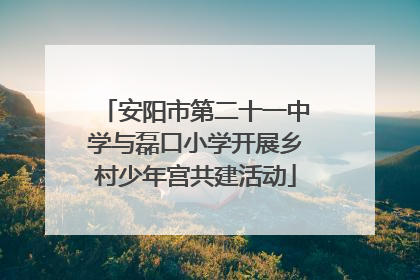 安阳市第二十一中学与磊口小学开展乡村少年宫共建活动
