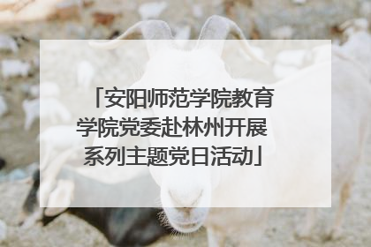 安阳师范学院教育学院党委赴林州开展系列主题党日活动