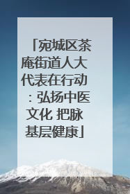 宛城区茶庵街道人大代表在行动：弘扬中医文化 把脉基层健康
