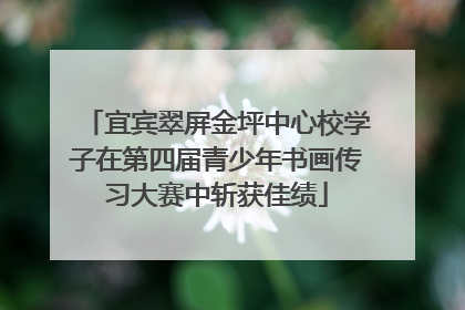 宜宾翠屏金坪中心校学子在第四届青少年书画传习大赛中斩获佳绩