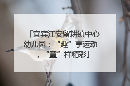 宜宾江安留耕镇中心幼儿园：“趣”享运动，“童”样精彩
