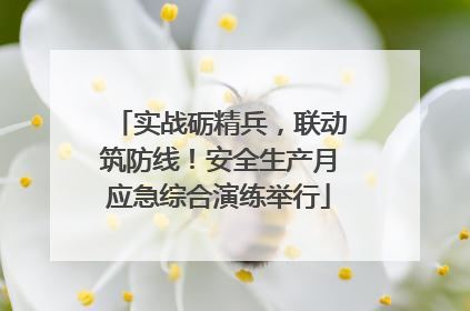 实战砺精兵，联动筑防线！安全生产月应急综合演练举行