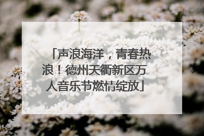声浪海洋，青春热浪！德州天衢新区万人音乐节燃情绽放