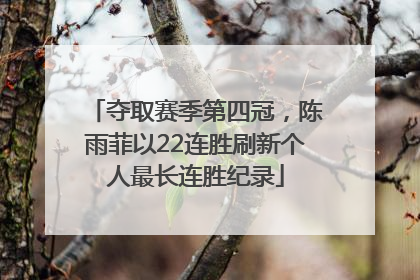 夺取赛季第四冠，陈雨菲以22连胜刷新个人最长连胜纪录