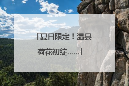 夏日限定！温县荷花初绽……