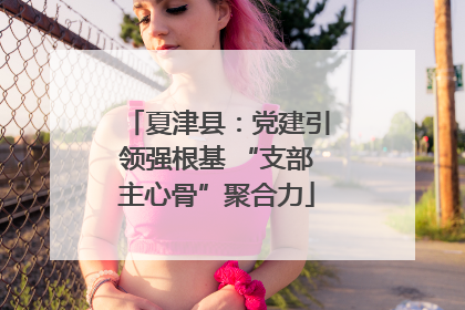 夏津县：党建引领强根基 “支部主心骨”聚合力