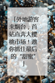 外地游客来烟台，首站直奔大樱桃市场！邀你抓住最后的“甜蜜”
