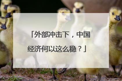 外部冲击下，中国经济何以这么稳？