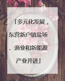 多元化发展，东营新户镇盐场、渔业和新能源产业并进