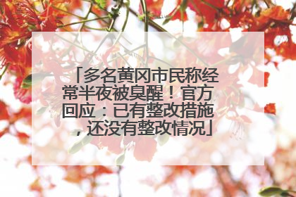 多名黄冈市民称经常半夜被臭醒！官方回应：已有整改措施，还没有整改情况