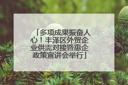 多项成果振奋人心！丰泽区外贸企业供需对接暨惠企政策宣讲会举行
