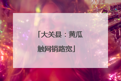 大关县：黄瓜触网销路宽