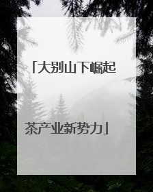大别山下崛起茶产业新势力