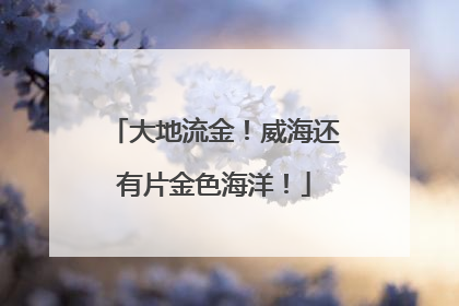 大地流金！威海还有片金色海洋！