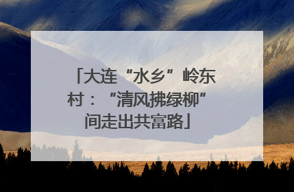 大连“水乡”岭东村：“清风拂绿柳”间走出共富路