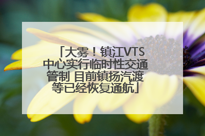 大雾！镇江VTS中心实行临时性交通管制 目前镇扬汽渡等已经恢复通航
