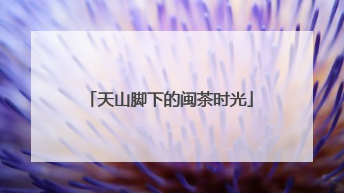 天山脚下的闽茶时光