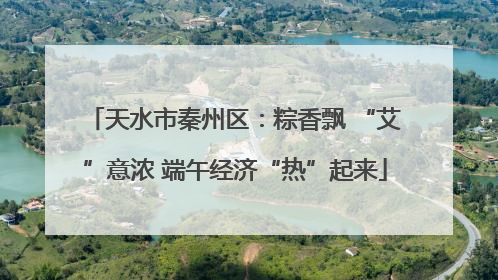 天水市秦州区：粽香飘 “艾”意浓 端午经济“热”起来