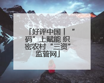 好评中国丨“码”上赋能 织密农村“三资”监管网