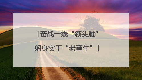 奋战一线“领头雁” 躬身实干“老黄牛”