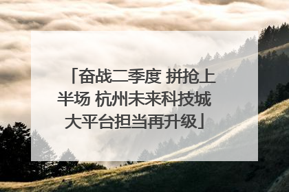 奋战二季度 拼抢上半场 杭州未来科技城大平台担当再升级