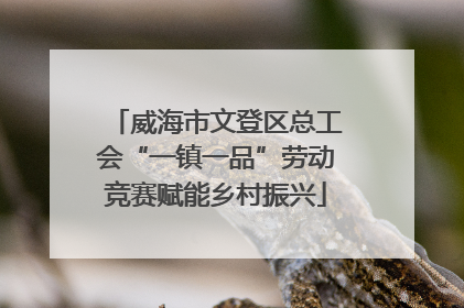 威海市文登区总工会“一镇一品”劳动竞赛赋能乡村振兴