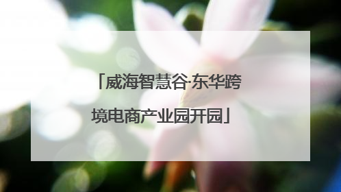 威海智慧谷·东华跨境电商产业园开园