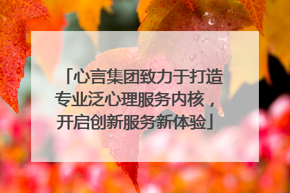心言集团致力于打造专业泛心理服务内核，开启创新服务新体验