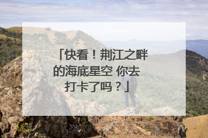 快看！荆江之畔的海底星空 你去打卡了吗？