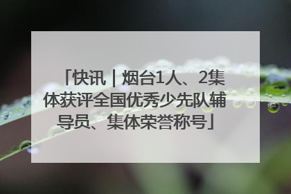快讯｜烟台1人、2集体获评全国优秀少先队辅导员、集体荣誉称号