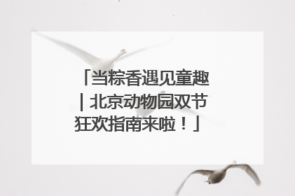 当粽香遇见童趣｜北京动物园双节狂欢指南来啦！