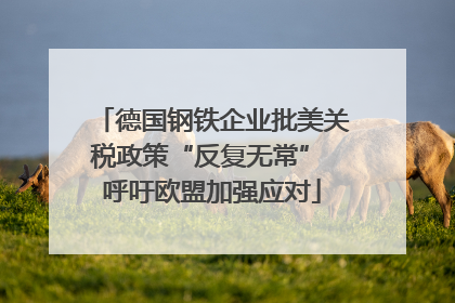 德国钢铁企业批美关税政策“反复无常” 呼吁欧盟加强应对