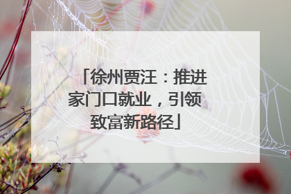 徐州贾汪：推进家门口就业，引领致富新路径