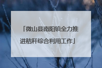 微山县南阳镇全力推进秸秆综合利用工作