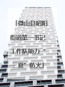 微山县昭阳街道第一书记工作队助力“三夏”防火