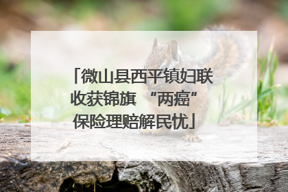 微山县西平镇妇联收获锦旗 “两癌”保险理赔解民忧