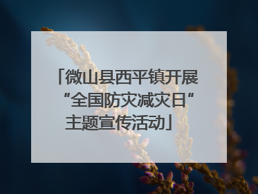 微山县西平镇开展“全国防灾减灾日”主题宣传活动