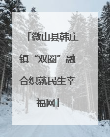 微山县韩庄镇“双圈”融合织就民生幸福网