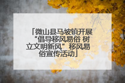 微山县马坡镇开展“倡导移风易俗 树立文明新风”移风易俗宣传活动