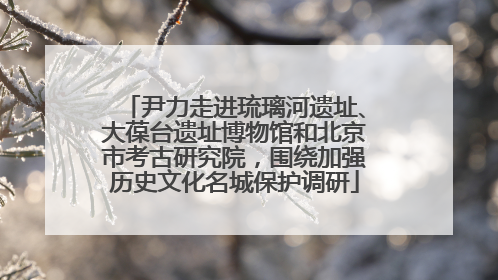 尹力走进琉璃河遗址、大葆台遗址博物馆和北京市考古研究院，围绕加强历史文化名城保护调研