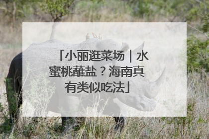 小丽逛菜场｜水蜜桃蘸盐？海南真有类似吃法