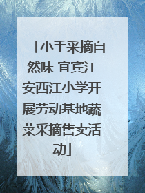 小手采摘自然味 宜宾江安西江小学开展劳动基地蔬菜采摘售卖活动